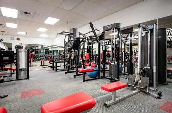 تصویر باشگاه تیم فیت